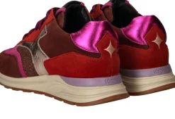 DAMES IQONIC IQÔNIC Sneakers Dames