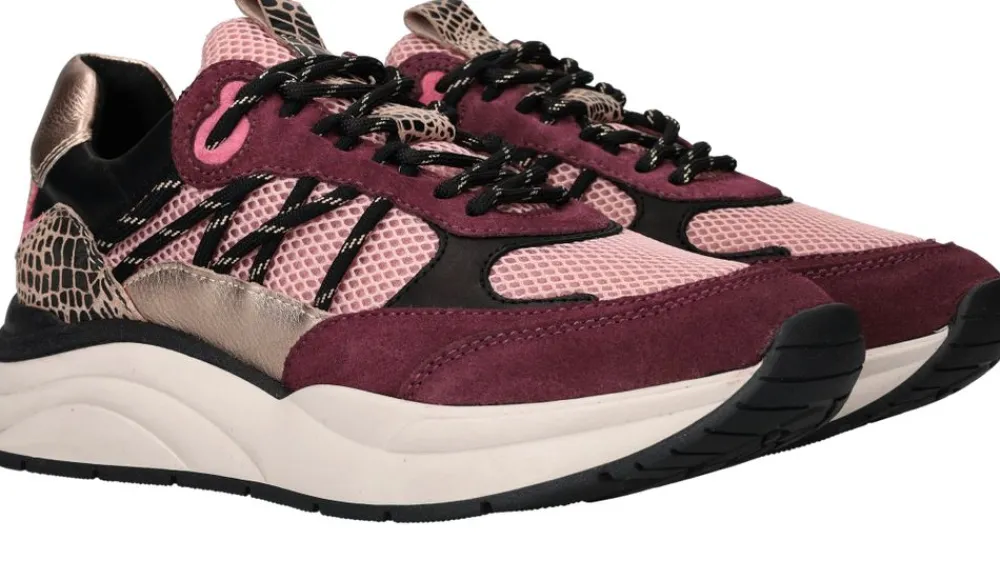 DAMES LOFF 1881 Sneakers Paars Dames