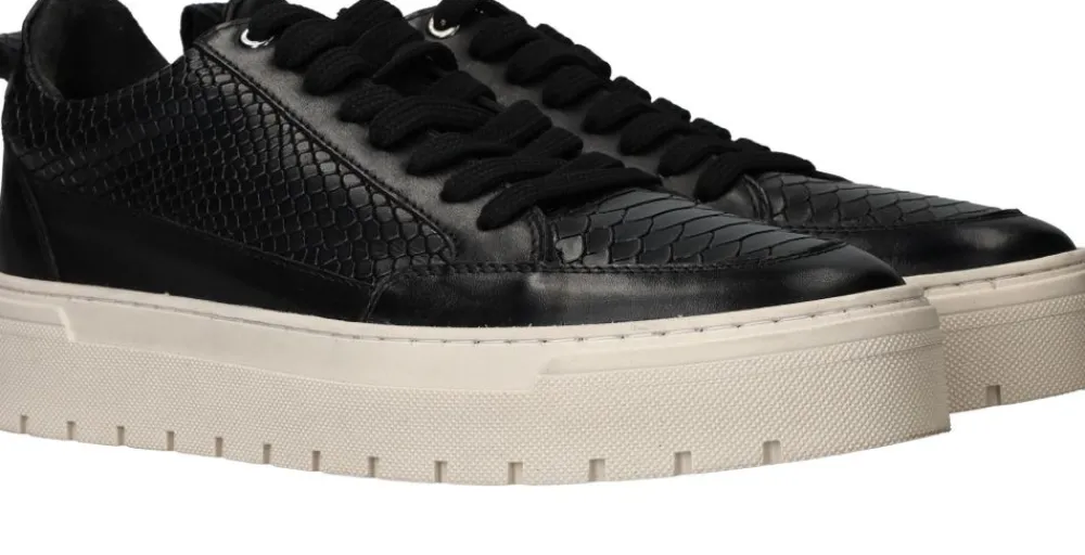 Heren LOFF 1881 Sneakers Heren