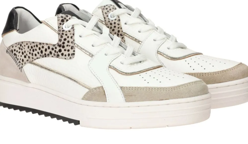 DAMES Maruti Alfie Sneakers Dames