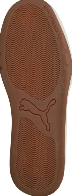 Heren Puma Park Lifestyle SK8 SD Sneakers Beige Heren