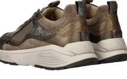 DAMES Xsensible Milau Stretchwalker Sneakers Groen Dames