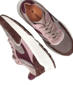 DAMES Xsensible Ponte Vecchio Stretchwalker Sneakers Dames